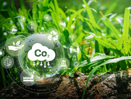 Illustration of CO2 concept in sustainable chemistry||Wearing PPE is an important safety standard||A diagram showing the 12 principles of green chemistry||The aspects of sustainable chemistry shown in a venn diagram.