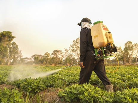 Farmer spraying herbicide on crops