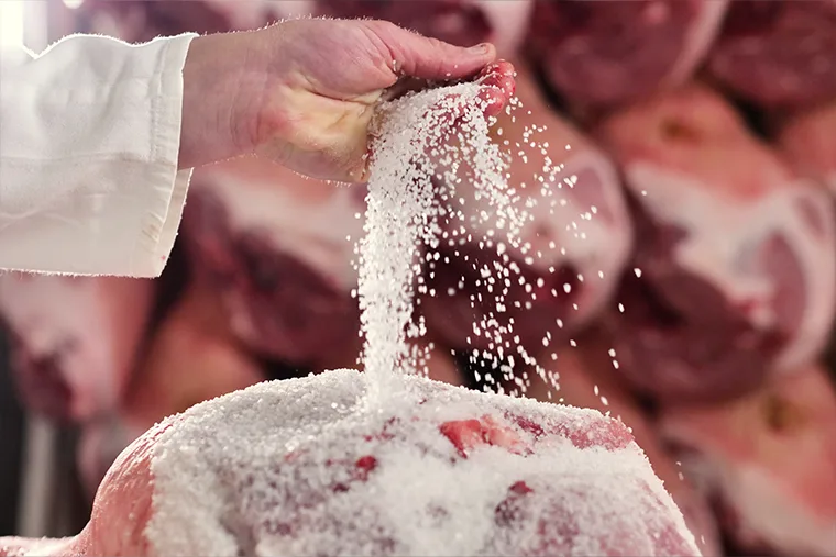 Person salting a ham
