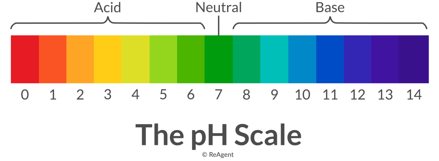 How Do Biological Buffers Work? The Science Blog