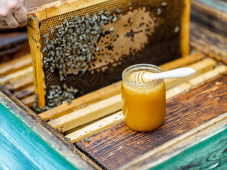 Jar of honey on a beehive