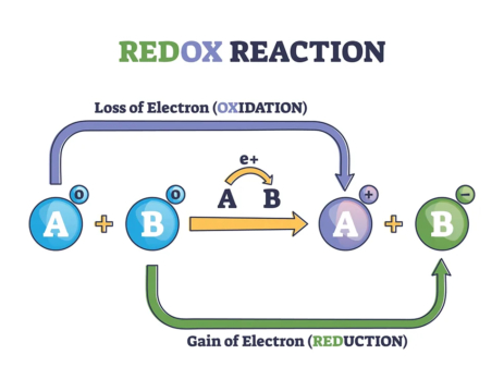 Redox reaction graphic