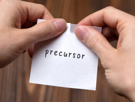 Paper with the word precursor written on it