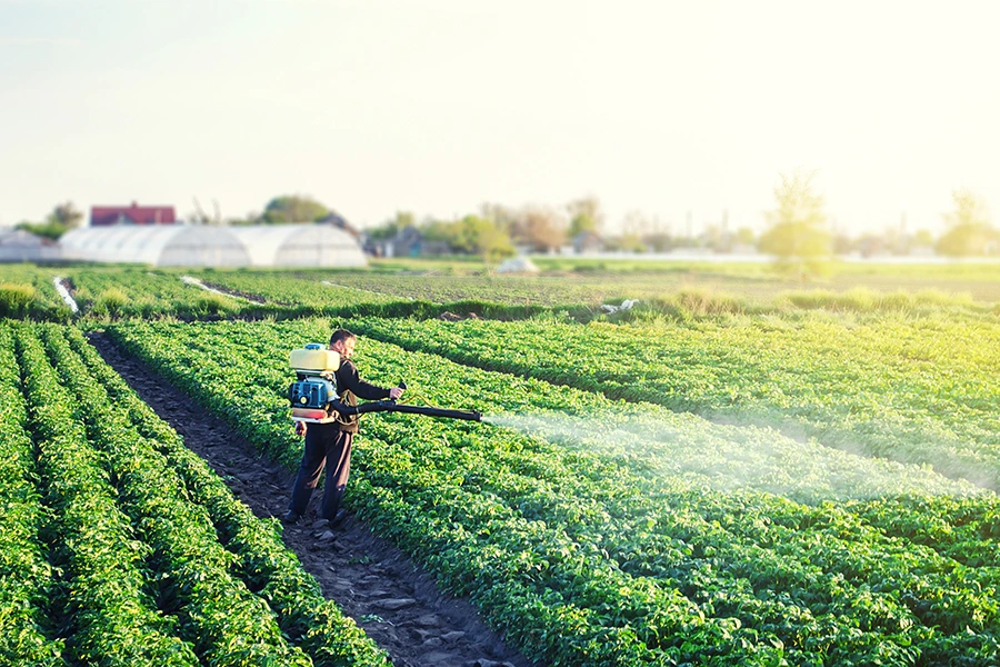 Farmer spraying against pests and fungus infection