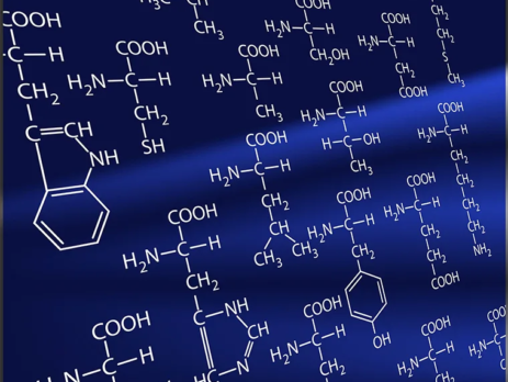 Multiple amino acid structures wrtten on blackboard||Amino acid structure||Chemical formulas of fat soluble vitamins||Two litsts of water soluble and fat soluble vitamins||Protein-Amino-Acid-Structure