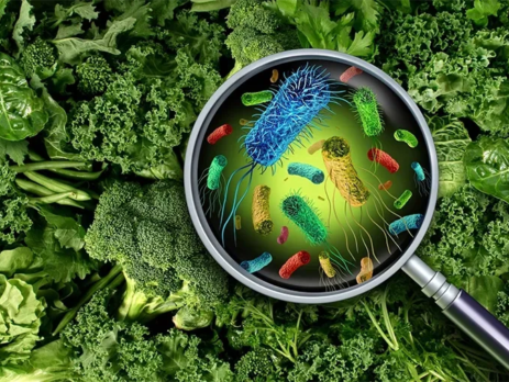 Bacteria and germs on vegetables under magnifying glass||Farmer in protective clothes spraying pesticides onto fruit trees||Injection of antibiotic into raw meat