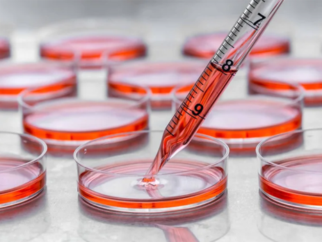 Culturing cells in tissue culture plates.||molecular-structure-of-a-biological-buffer||list-of-Goods-buffers-and-their-properties||chemical-equation-of-reaction-of-water-and-carbon-dioxide