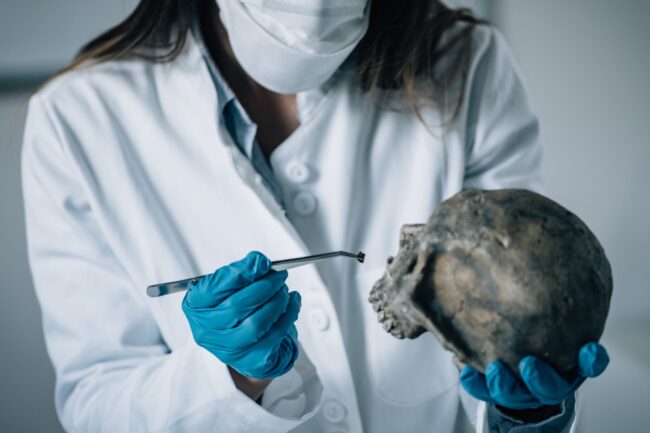 A forensic scientist analysing a skull in a lab||A graphic showing the steps of the scientific method||Forensic scientists examining a burnt out car||A data scientist analysing data on a computer