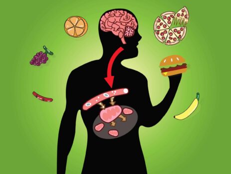 How & Why Is Chemical Energy Stored In Food?||shutterstock_How Do Cells Release Chemical Energy From Food?797290456||Why Is Chemical Energy Stored In Food?