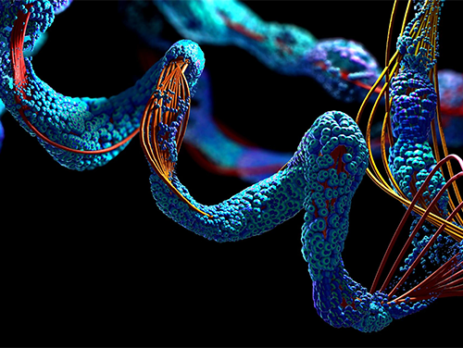 3D illustration of amino acid||Diagram showing the generalised structure of amino acids||Diagram of how proteins are assembled in ribosomes||Amino-Acid-Chart||Protein-Synthesis