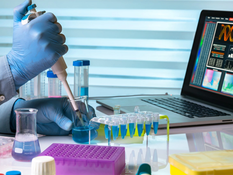 Scientist holding a flask and working with laptop in lab||A doctor piercing a patient's finger with a lancet.