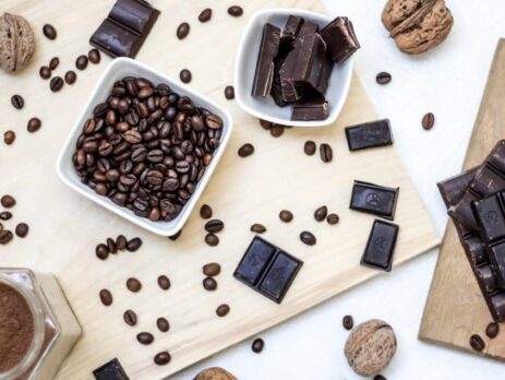 The Chemistry of Chocolate||Chocolate and the Brain||Toxicity of Chocolate||Toxicity of Chocolate||Chocolate and the Brain||The Central Nervous System||Chocolate pieces||Chemistry of Chocolate