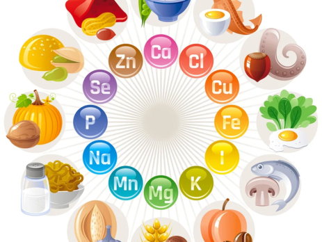Circle of different minerals and their food sources||Diagram explaining how minerals act as cofactors in the body||Graphic showing different minerals needed by the body